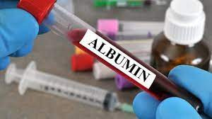Albumin