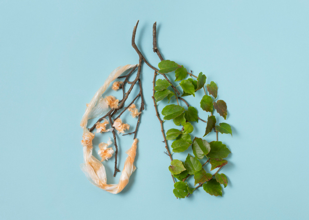 Cara Melakukan Detoks Paru-Paru