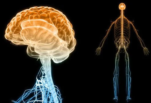 Bahaya Penyakit Lupus Yang Menyerang Otak
